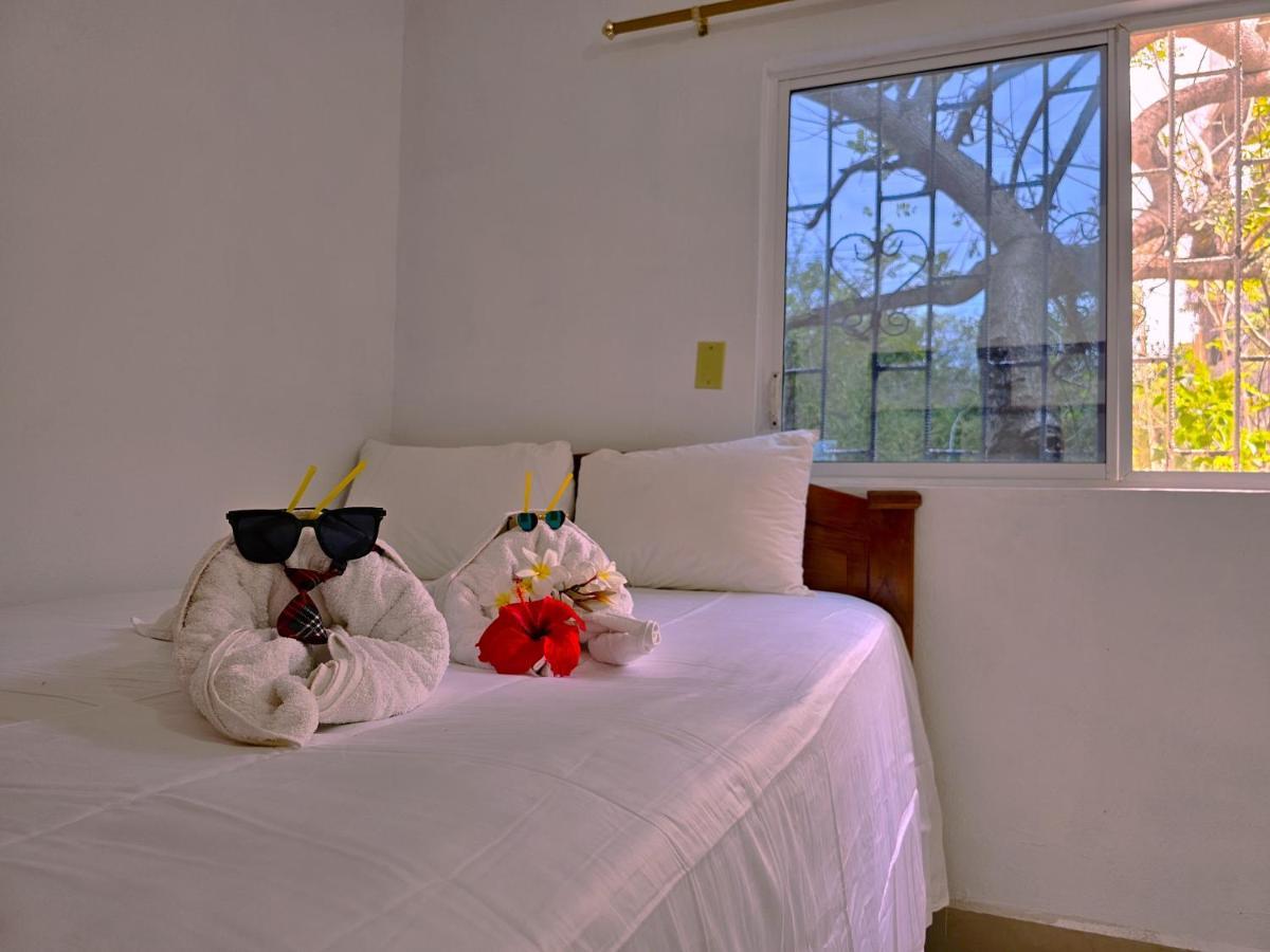 Lovely Inn San Cristóbal Extérieur photo